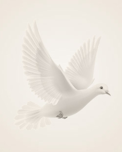 Obituary-img