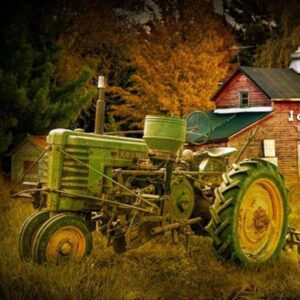 dale arnholt Gallery