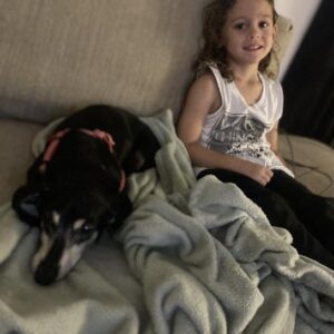 steven wright Gallery