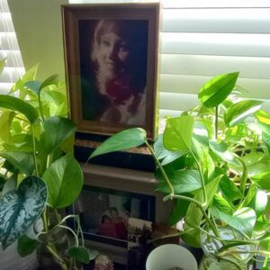 cynthia rodgers Gallery