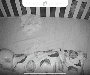 sterling wessel Gallery