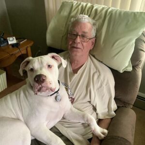 steven boone Gallery