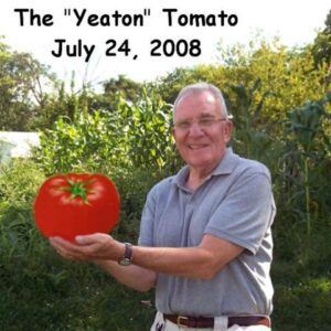 richard yeaton Gallery