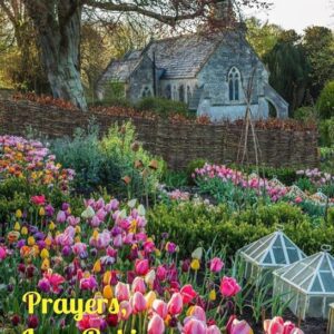 cody whitehead Gallery