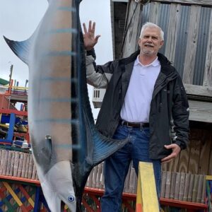 steve brummett Gallery