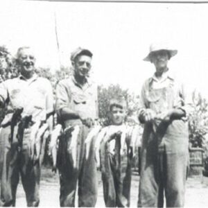 larry kinman Gallery