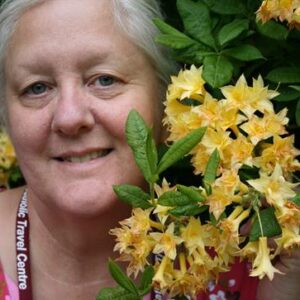 maria merrill Gallery