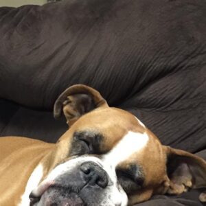 robert reeves Gallery