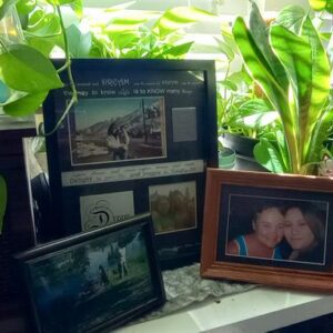 cynthia rodgers Gallery