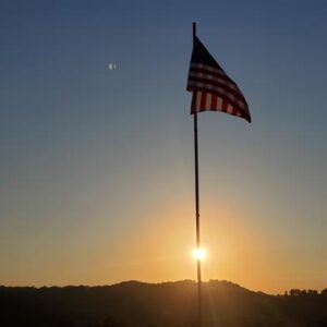 barbara janes Gallery