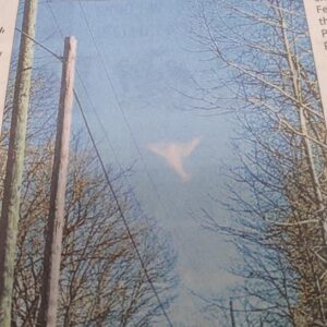 jackie mullis Gallery