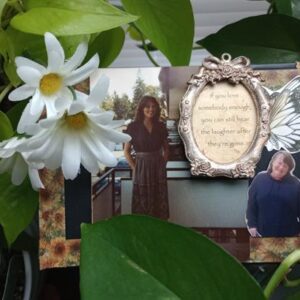 cynthia rodgers Gallery