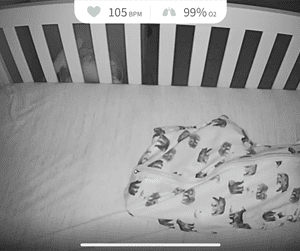 sterling wessel Gallery