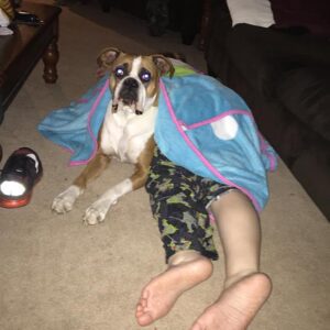 robert reeves Gallery