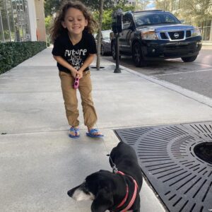 steven wright Gallery