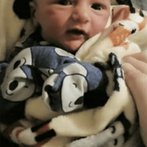 chance imlay Gallery