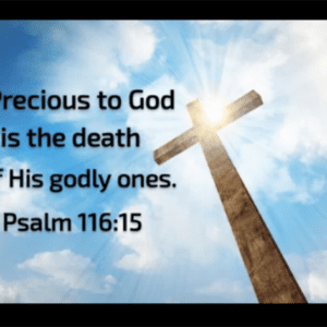 robin pagley Gallery