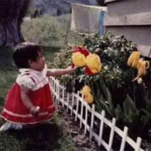 cynthia rodgers Gallery